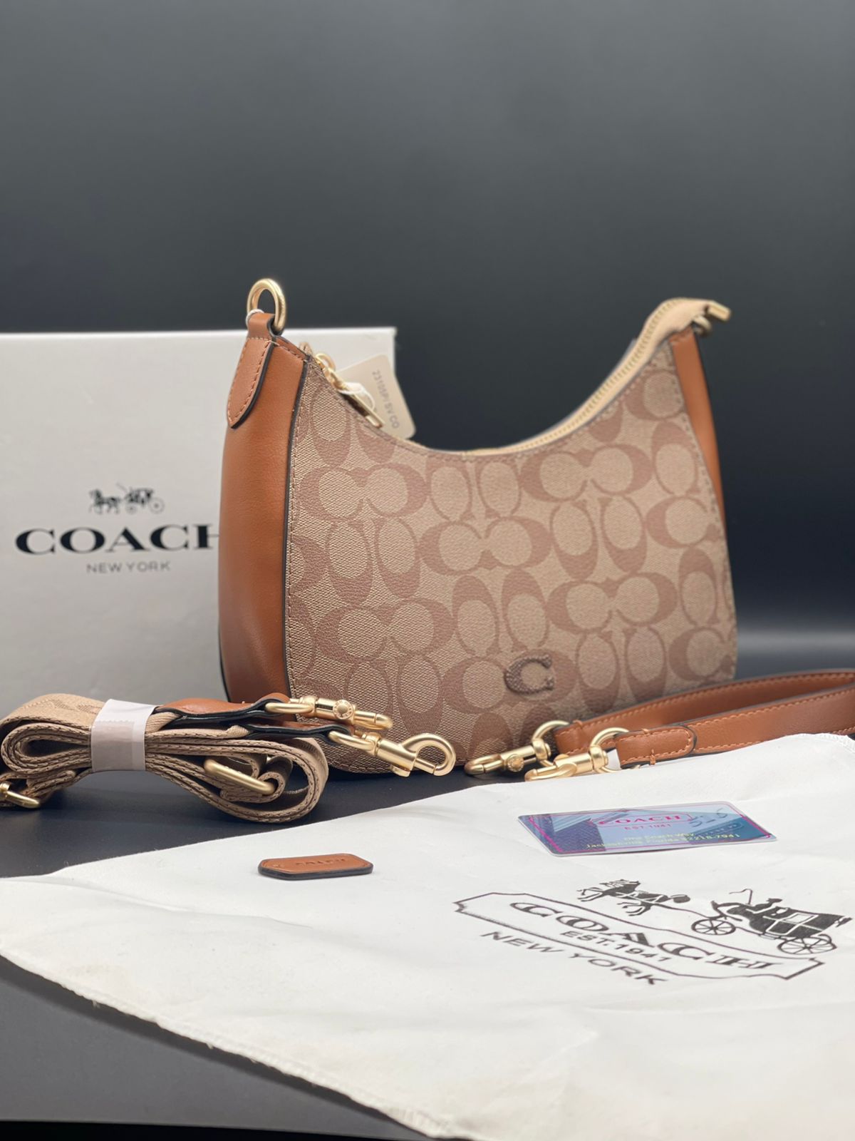 Teri Hobo Bag In Signature Canvas - Coach