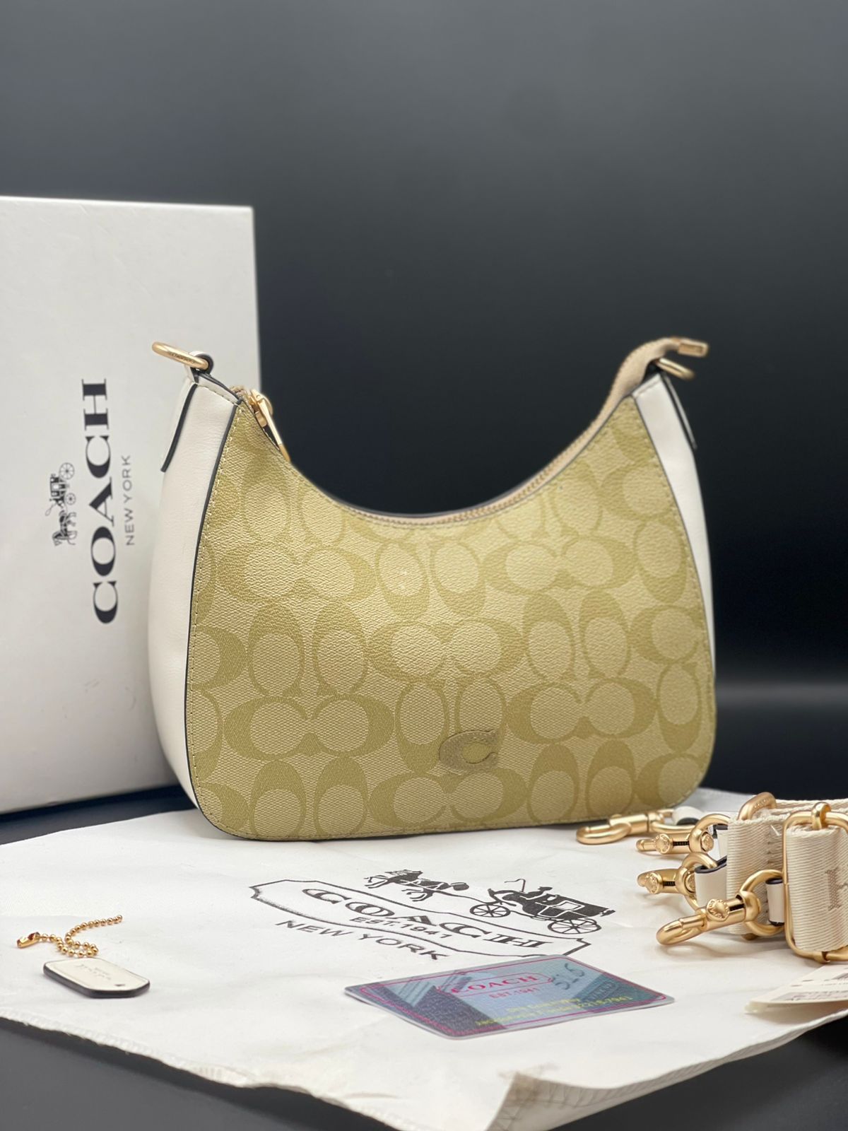 Teri Hobo Bag In Signature Canvas - Coach